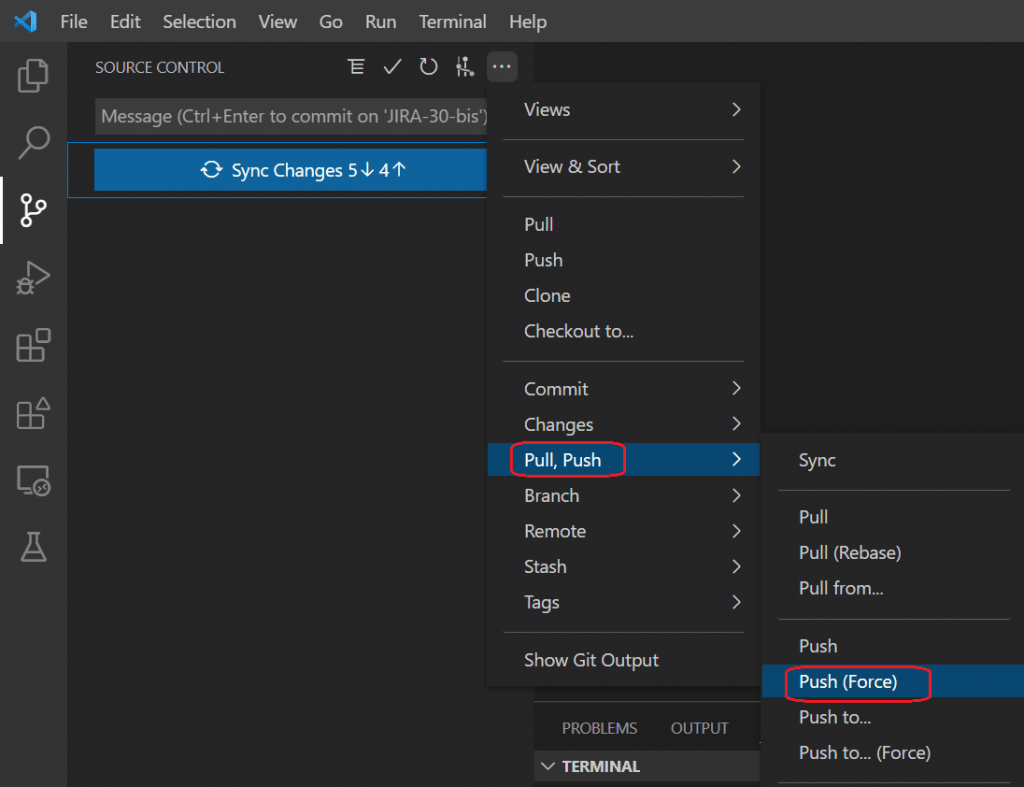 Lancer le push Force sous VSCode